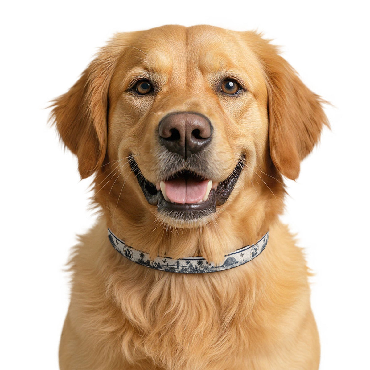 Toile Clip-On Pet Collar | Pacific Coast Pet Club | Pacific Coast Edition