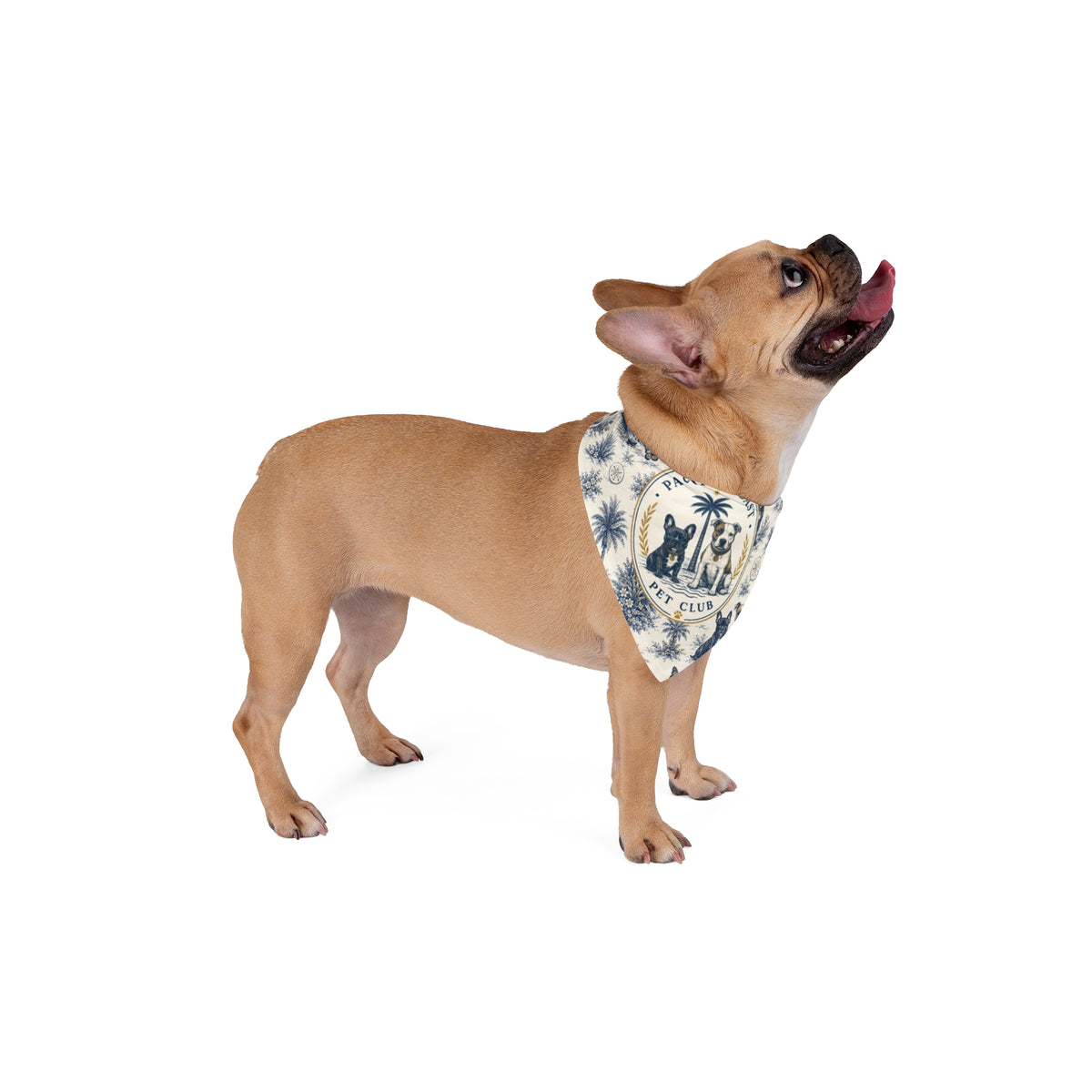 Toile Crest Bandana | Pacific Coast Pet Club | Pacific Coast Edition